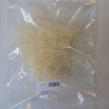 Trockenblume Lagurus  und Broom Bloom