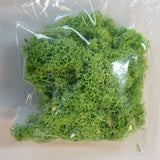 Islandmoos ca. 40 oder 50 gr. Beutel