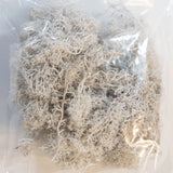 Islandmoos ca. 40 oder 50 gr. Beutel