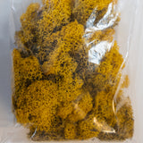 Islandmoos ca. 40 oder 50 gr. Beutel