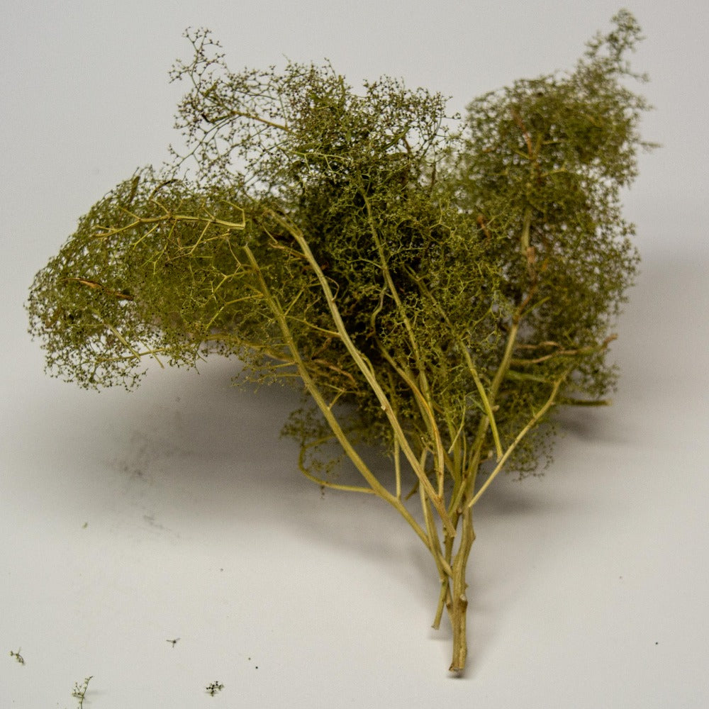 Modellbau Gras & Moos - Realistisches Streumaterial Für Eisenbahn & Miniaturlandschaften